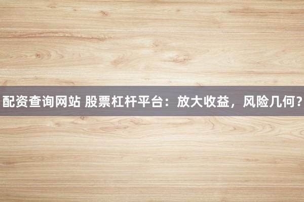 配资查询网站 股票杠杆平台：放大收益，风险几何？