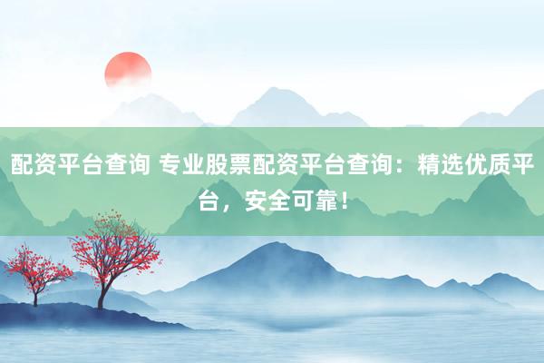 配资平台查询 专业股票配资平台查询：精选优质平台，安全可靠！