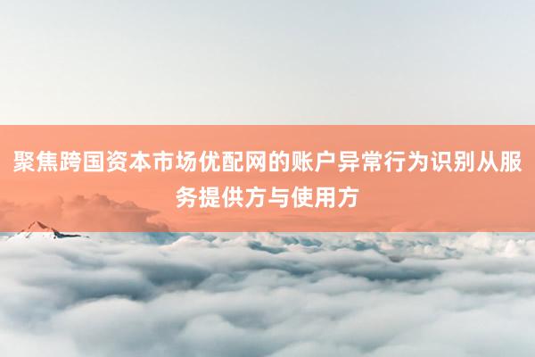 聚焦跨国资本市场优配网的账户异常行为识别从服务提供方与使用方