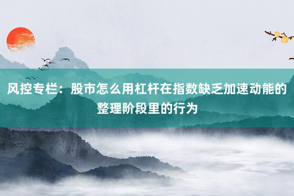 风控专栏:股市怎么用杠杆在指数缺乏加速动能的整理阶段里的行为