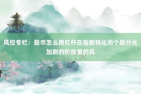 风控专栏：股市怎么用杠杆在指数钝化而个股分化加剧的阶段里的风
